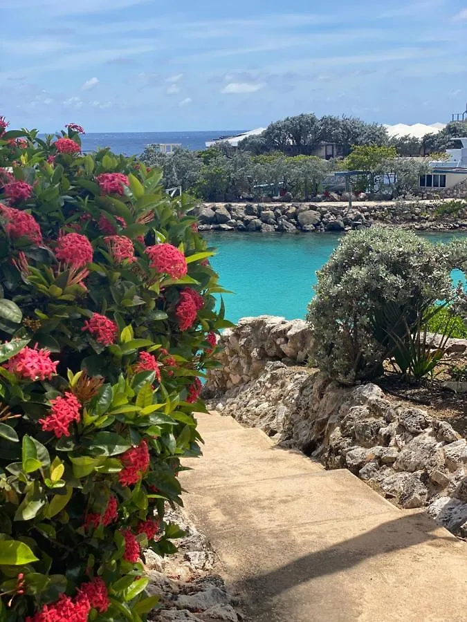 Palms & Pools Apartment At Curacao Ocean Resort Willemstad