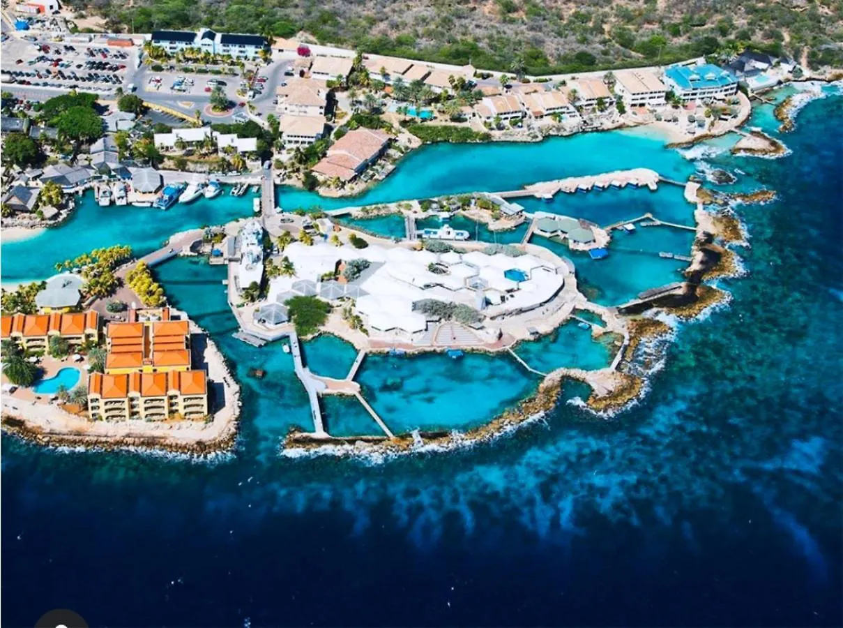 Palms & Pools Apartment At Curacao Ocean Resort Willemstad